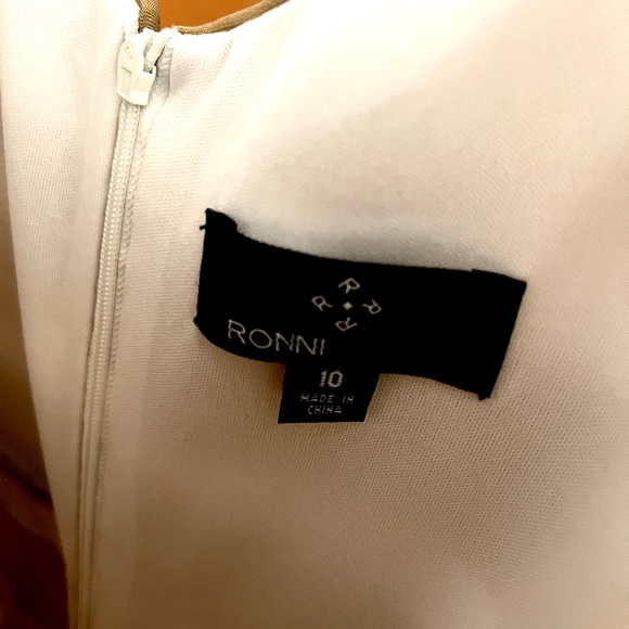 Ronni Nicole Multicolored Sleeveless Striped Pleated Sheath Dress Size 10 - Picture 4 of 9